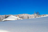 Ferme d'alpage sous la neige.jpg